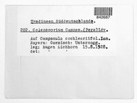 Image Associated With the Occurence